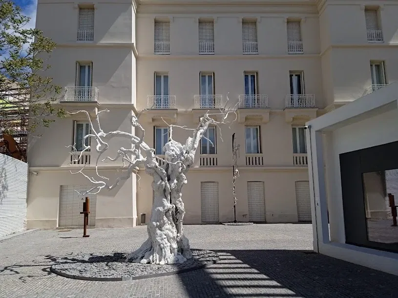 Museum of Contemporary Art Helga de Alvear