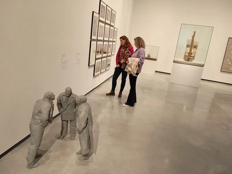 Museum of Contemporary Art Helga de Alvear