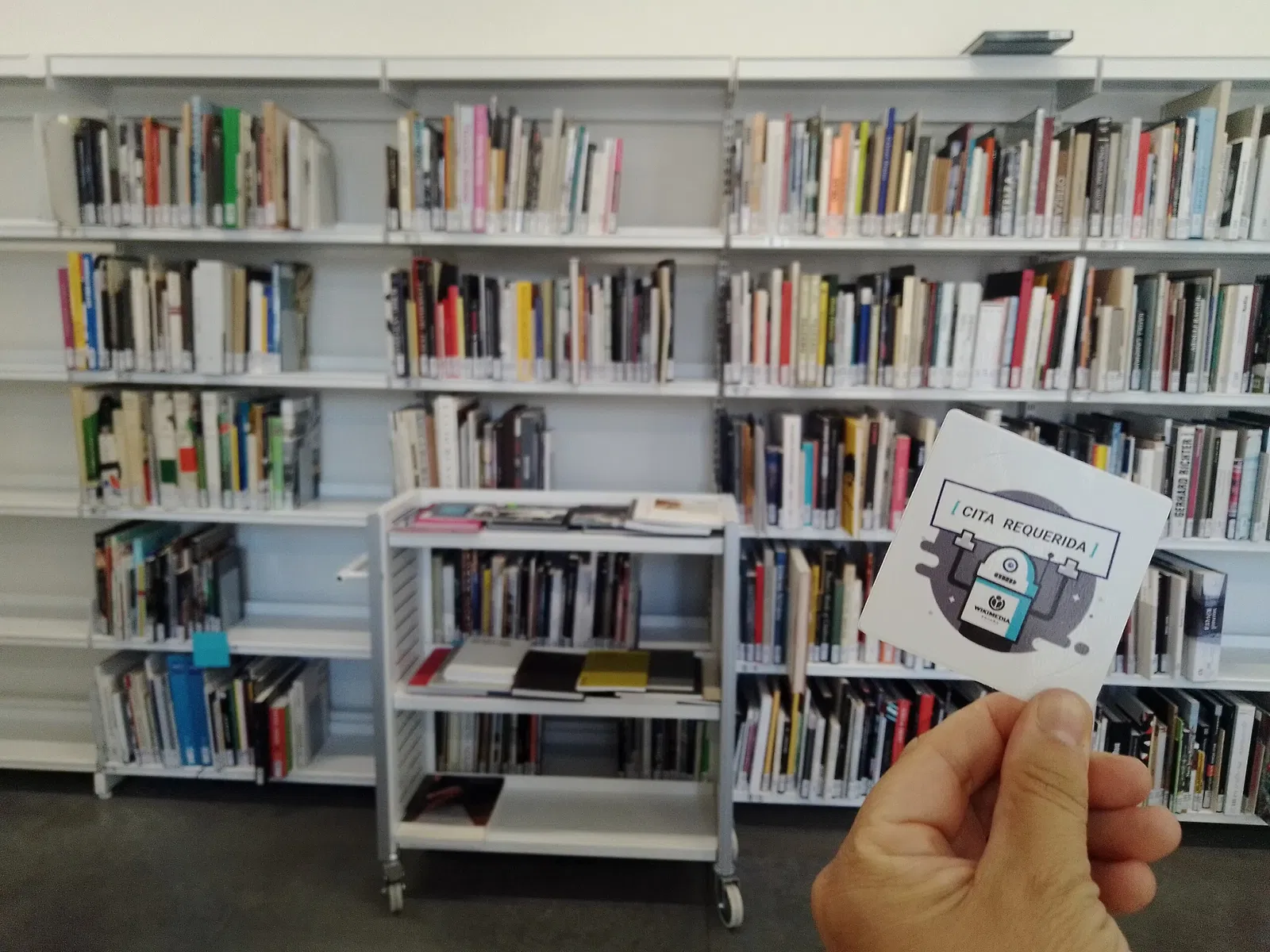 Museum of Contemporary Art Helga de Alvear