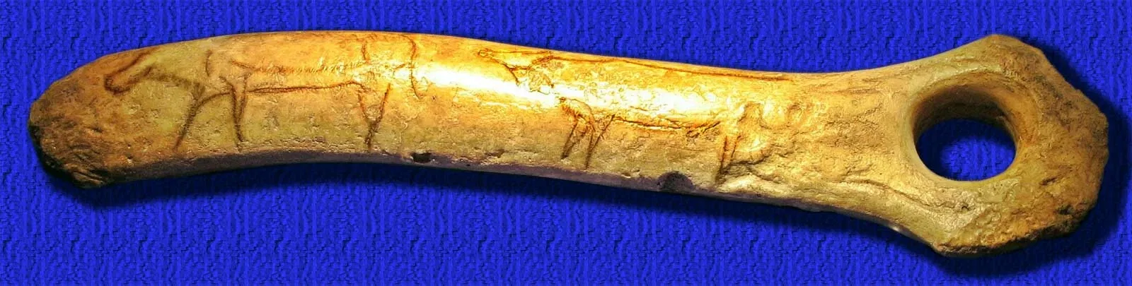 Archäologisches Landesmuseum