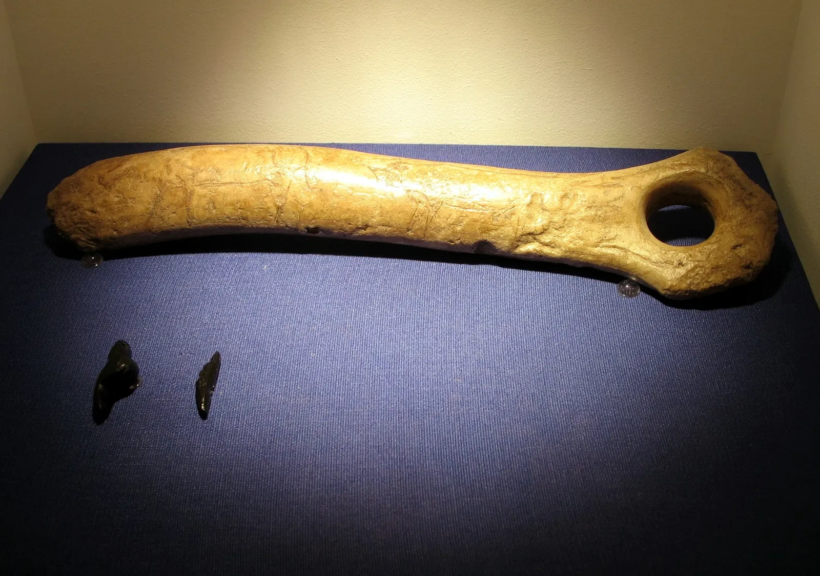 Archäologisches Landesmuseum