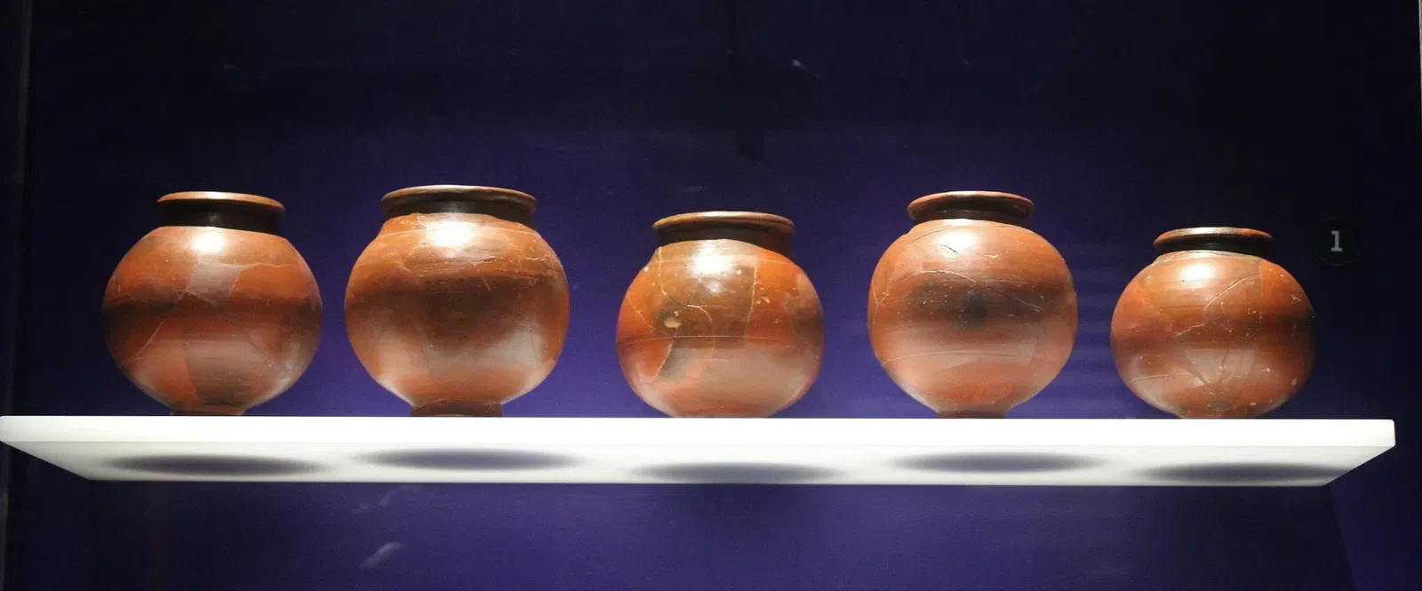 Archäologisches Landesmuseum