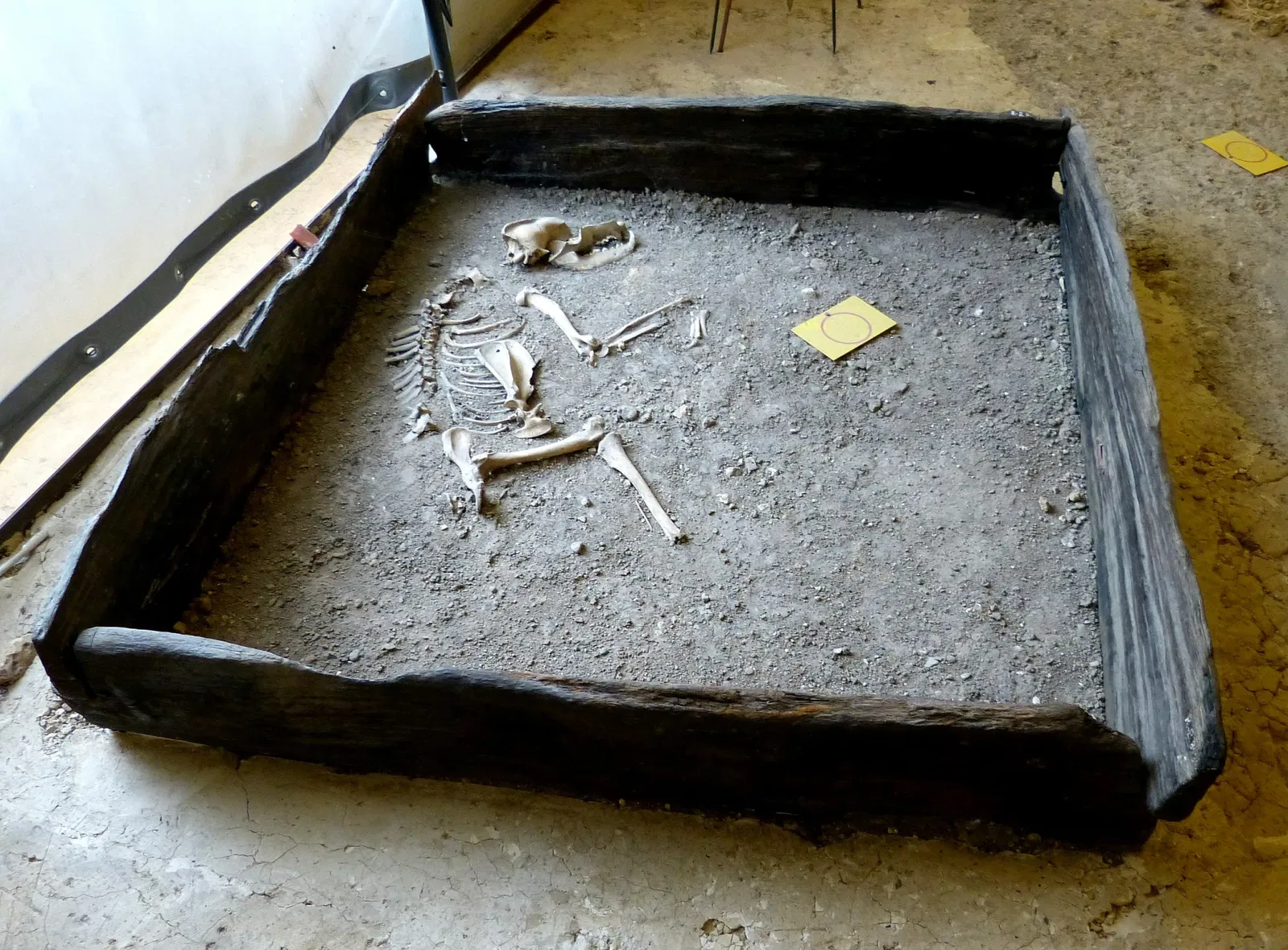 Archäologisches Landesmuseum