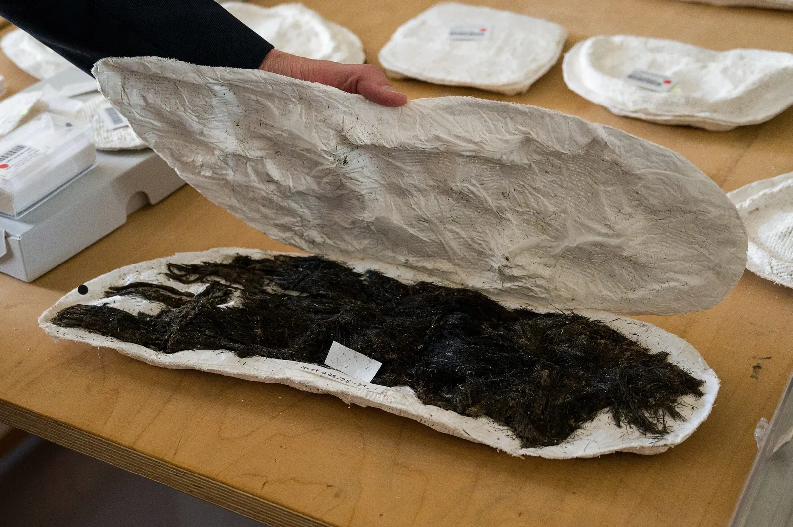 Archäologisches Landesmuseum