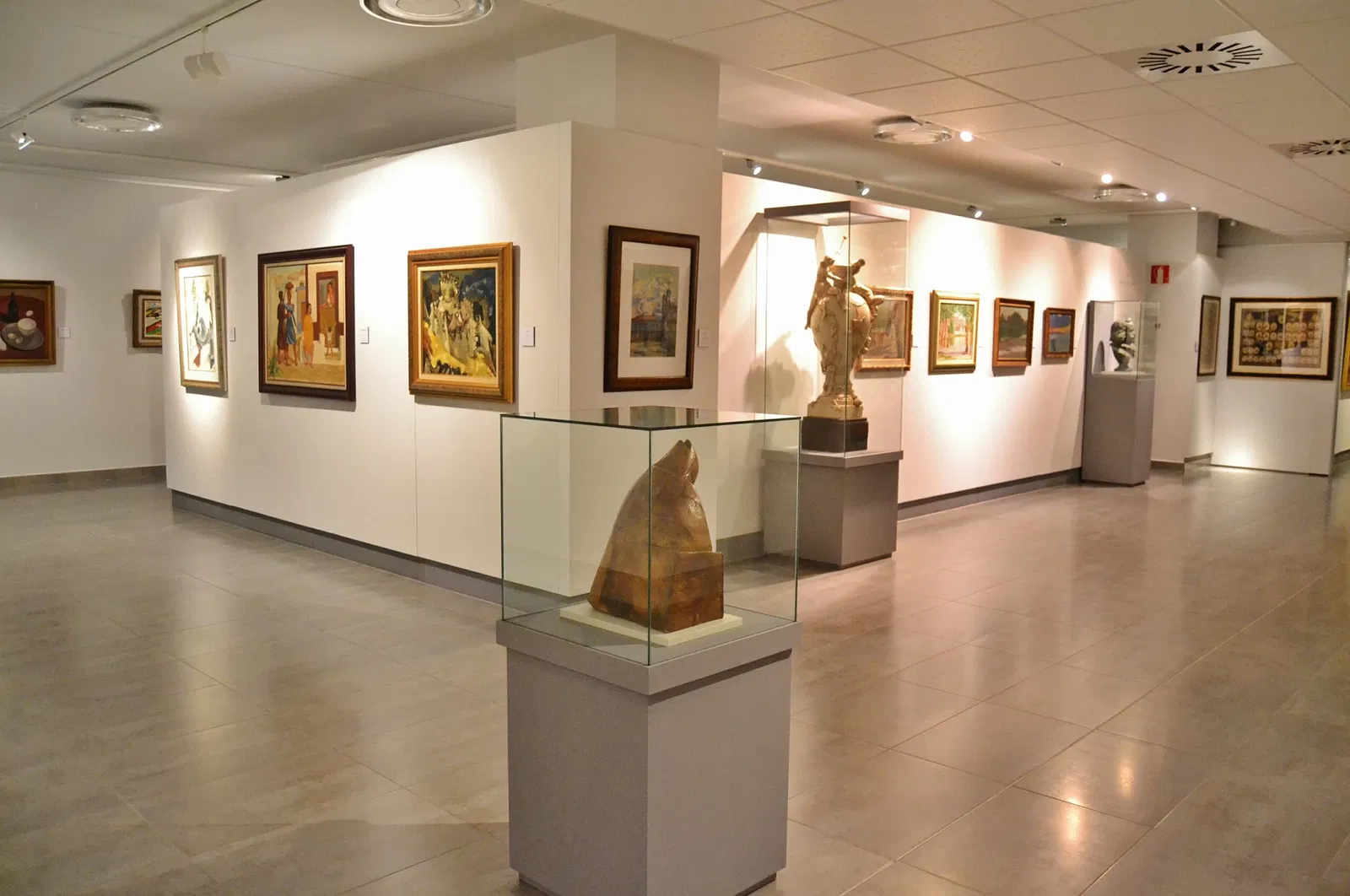 Museo Anatómico