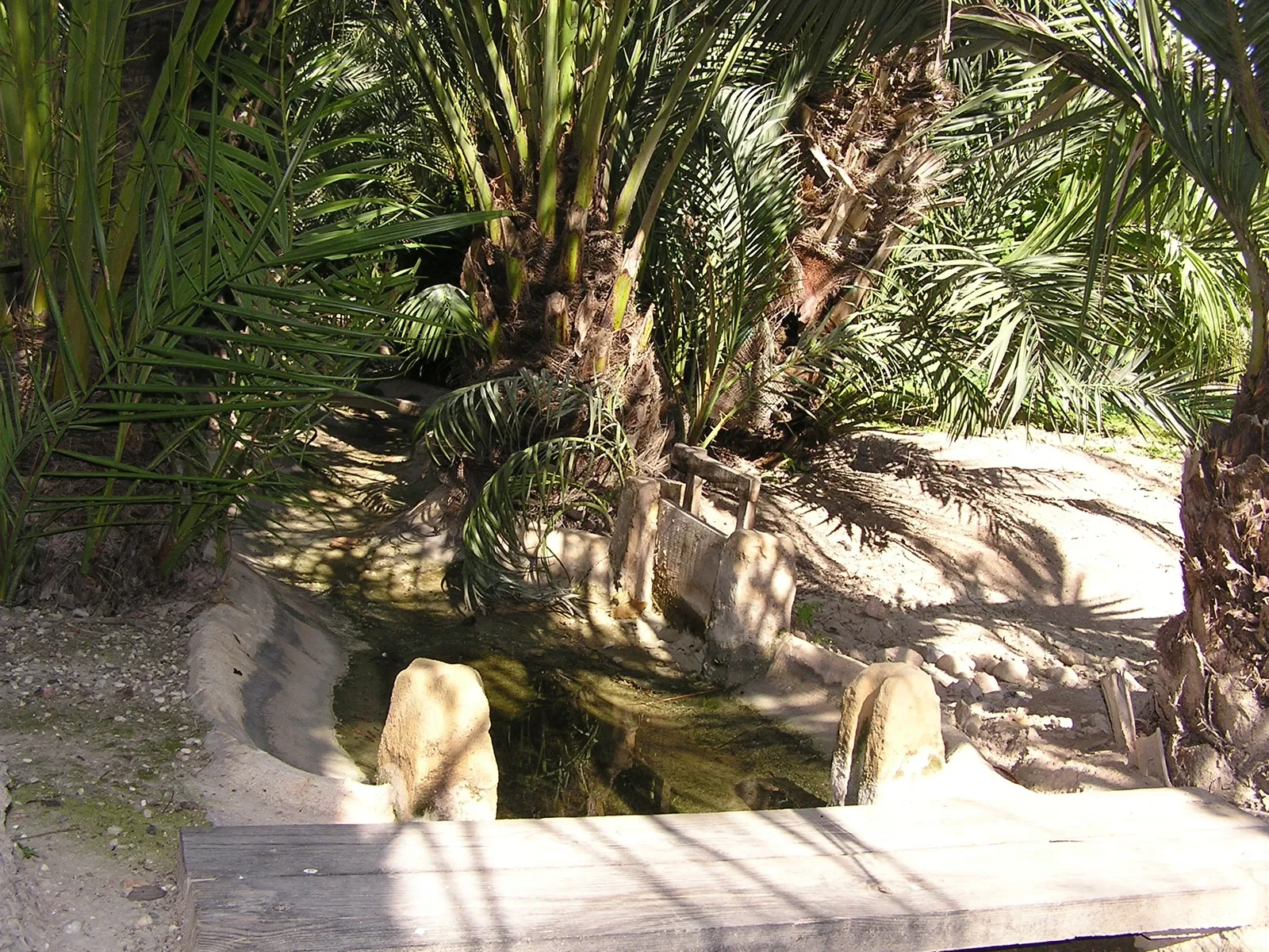 Museo del Palmeral