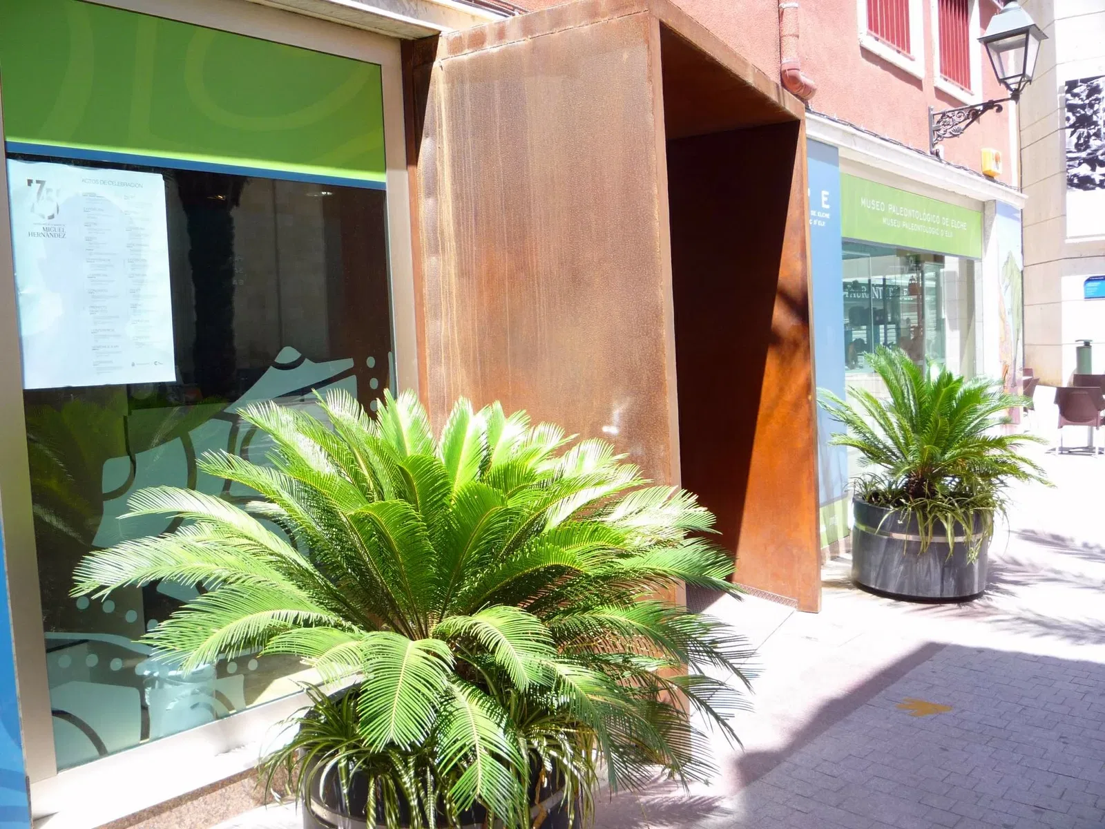 Museo Paleontológico de Elche