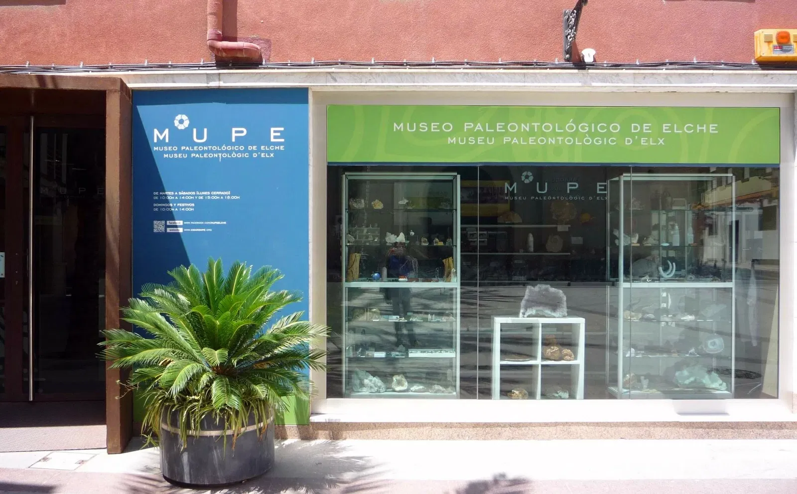 Museo Paleontológico de Elche