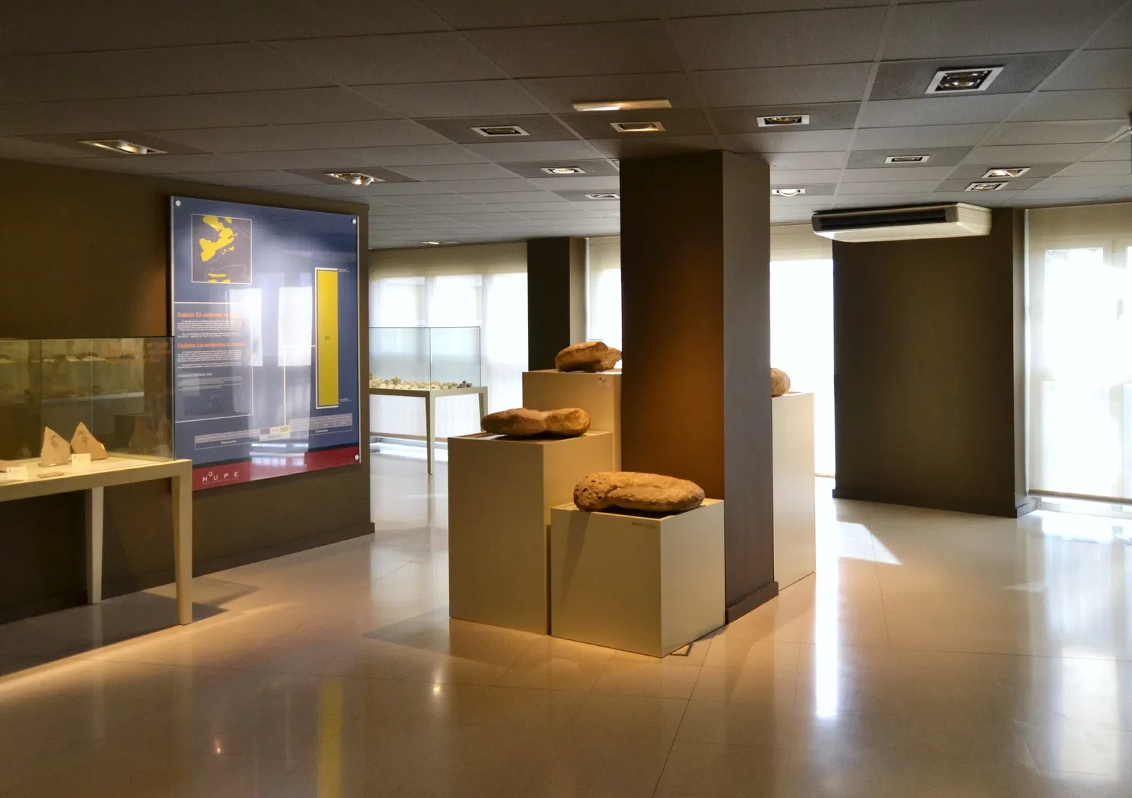 Museo Paleontológico de Elche
