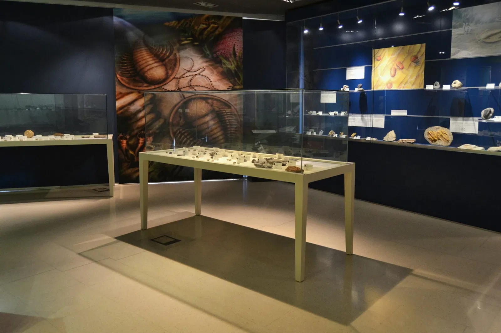 Museo Paleontológico de Elche