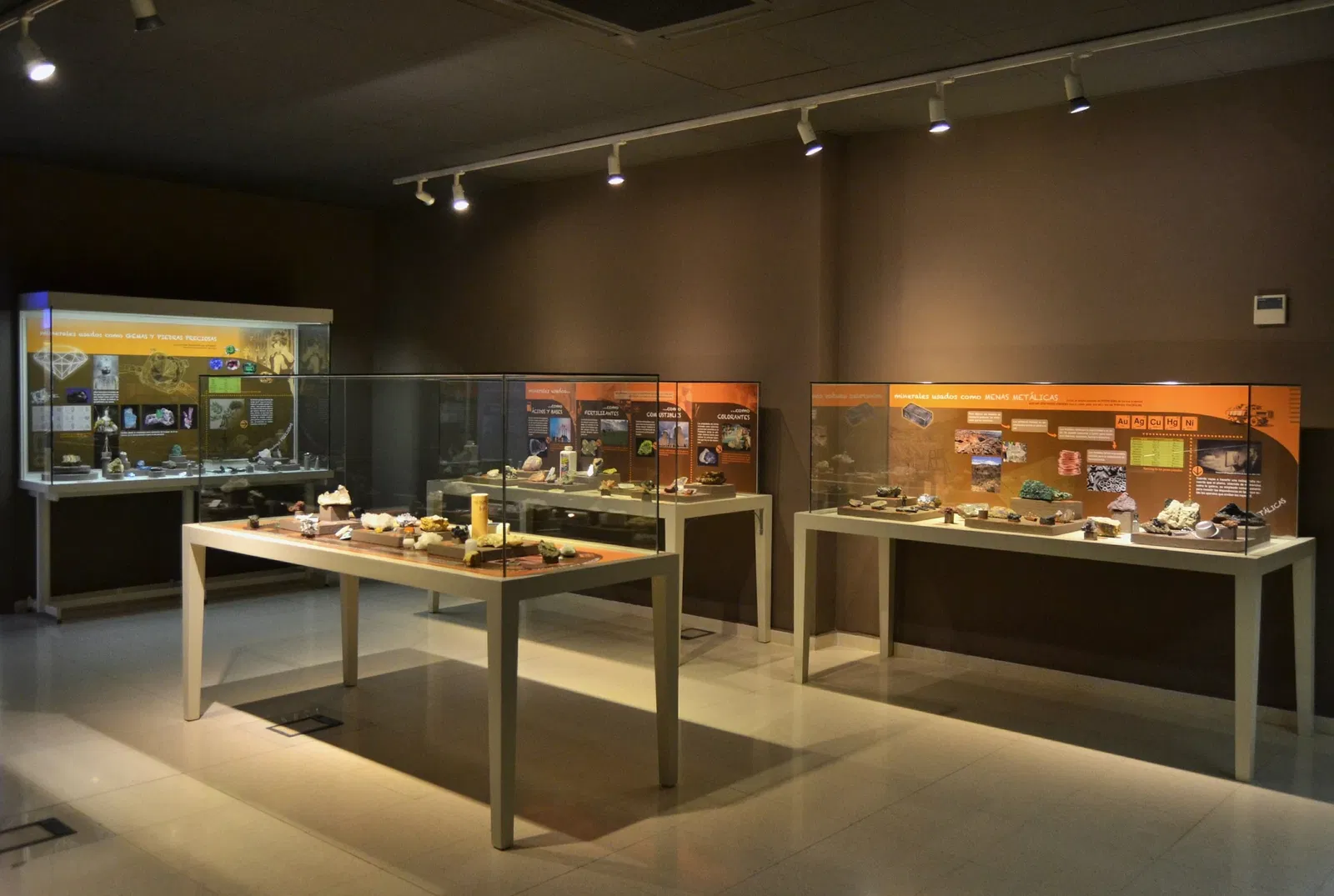 Museo Paleontológico de Elche