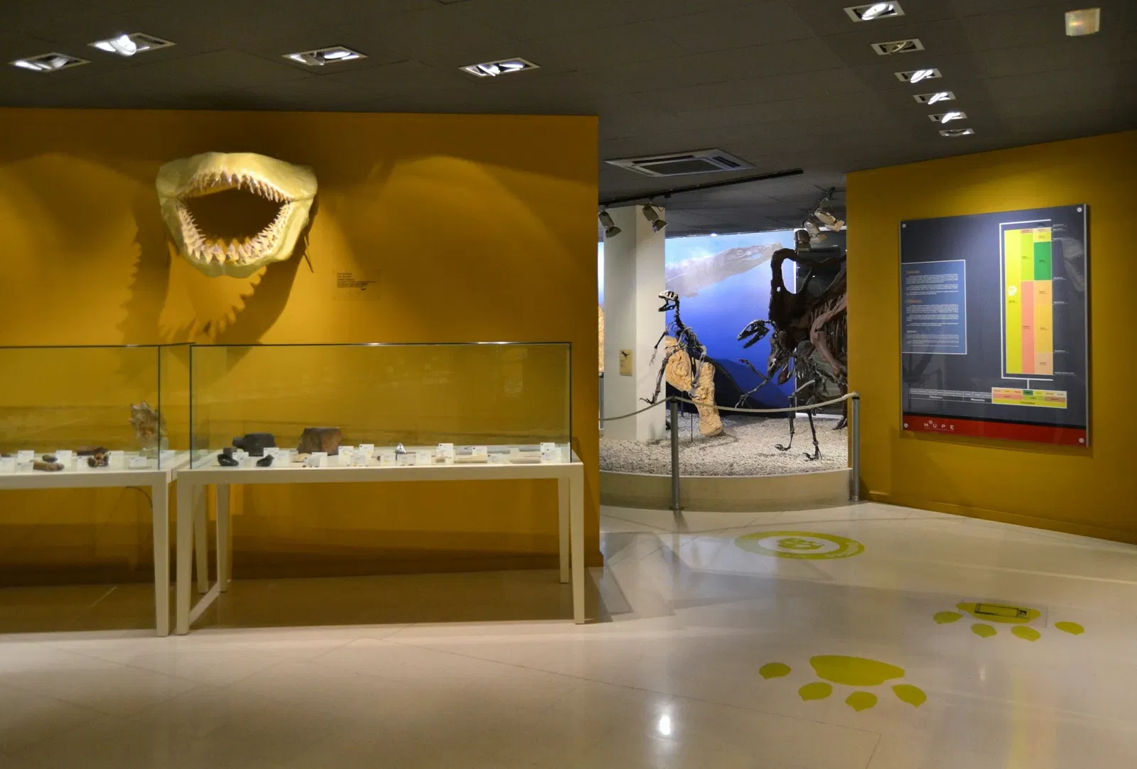 Museo Paleontológico de Elche