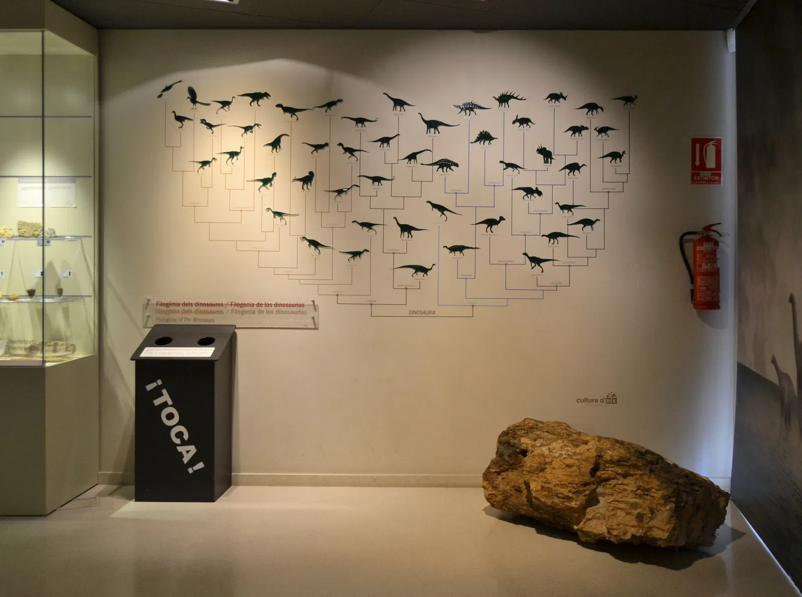 Museo Paleontológico de Elche