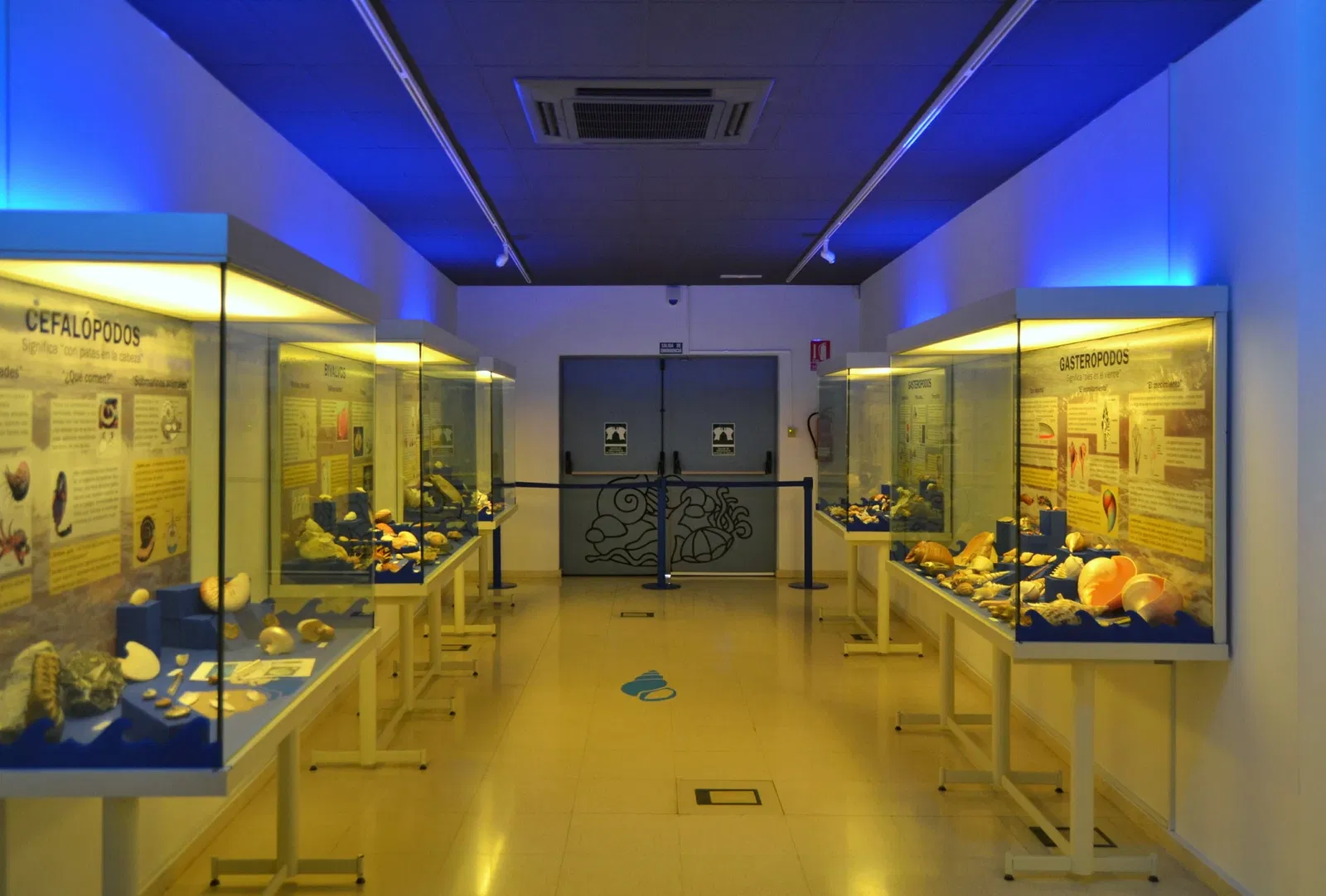 Museo Paleontológico de Elche