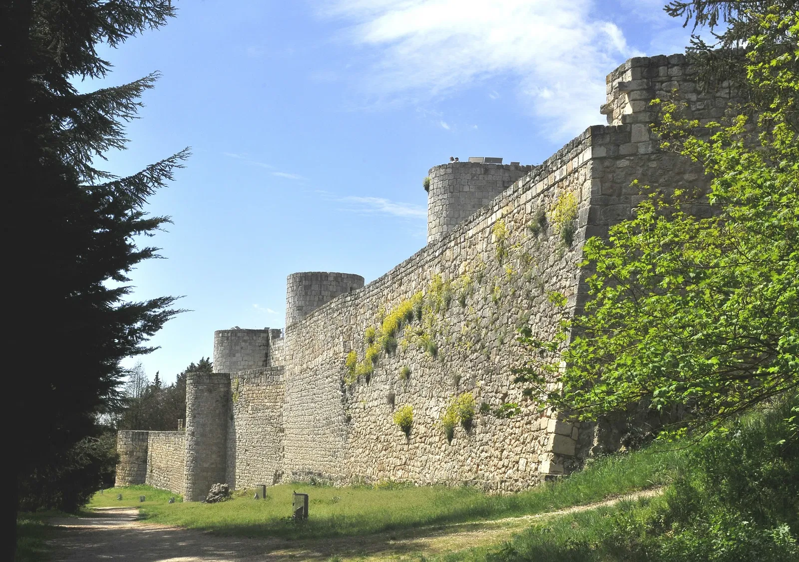 Castillo de Burgos