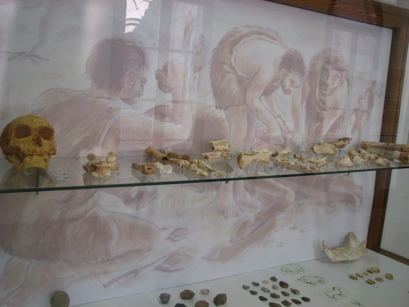 Archaeology Museum of Catalonia