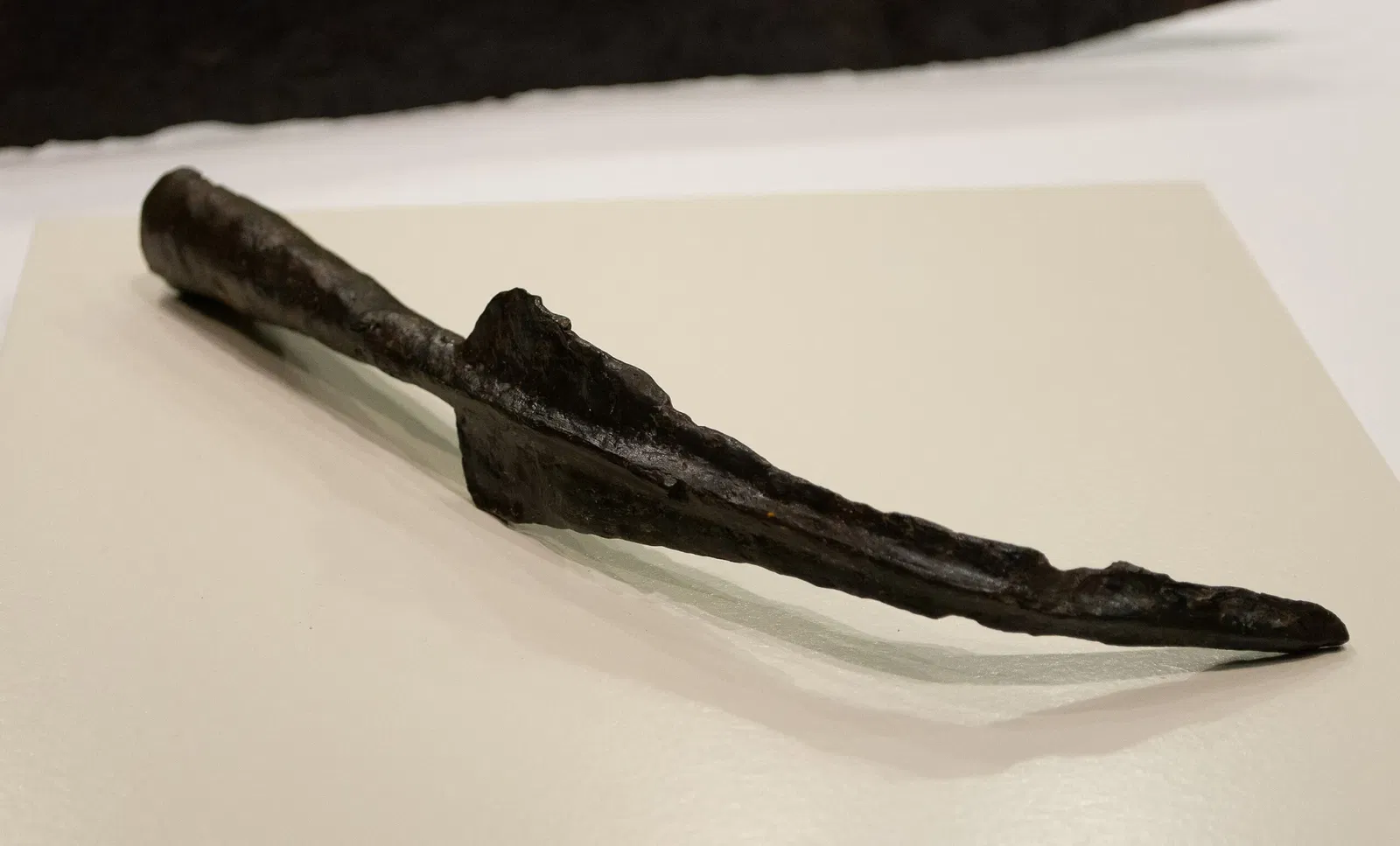 Museu d'Arqueologia de Catalunya