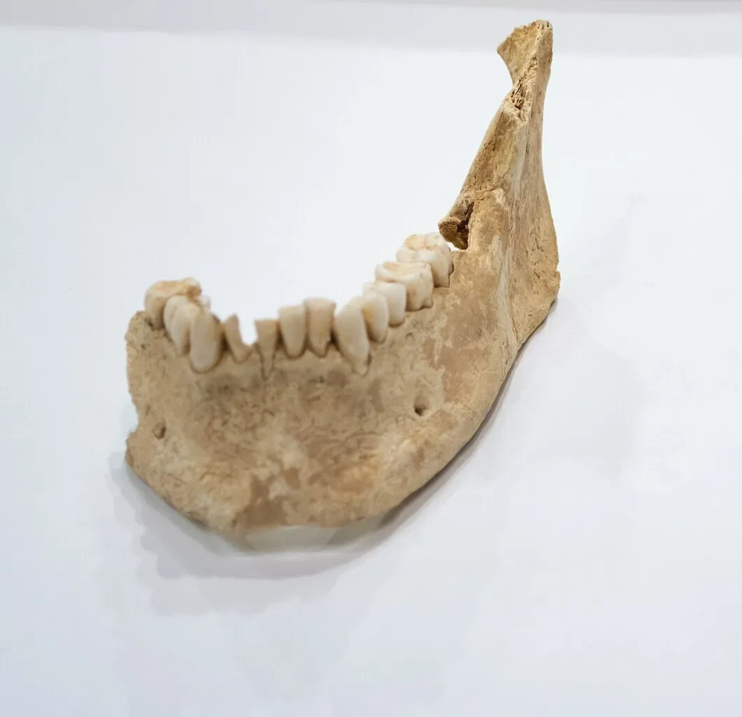 Musée d'archéologie de Catalogne (Gérone)