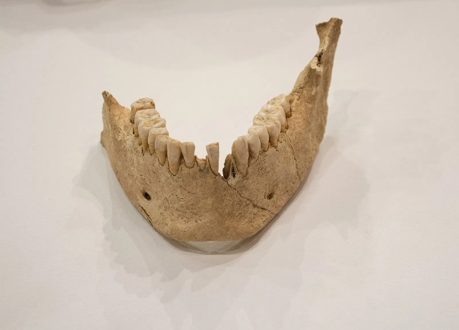 Musée d'archéologie de Catalogne (Gérone)