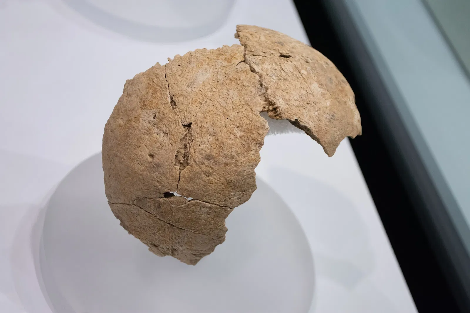 Musée d'archéologie de Catalogne (Gérone)