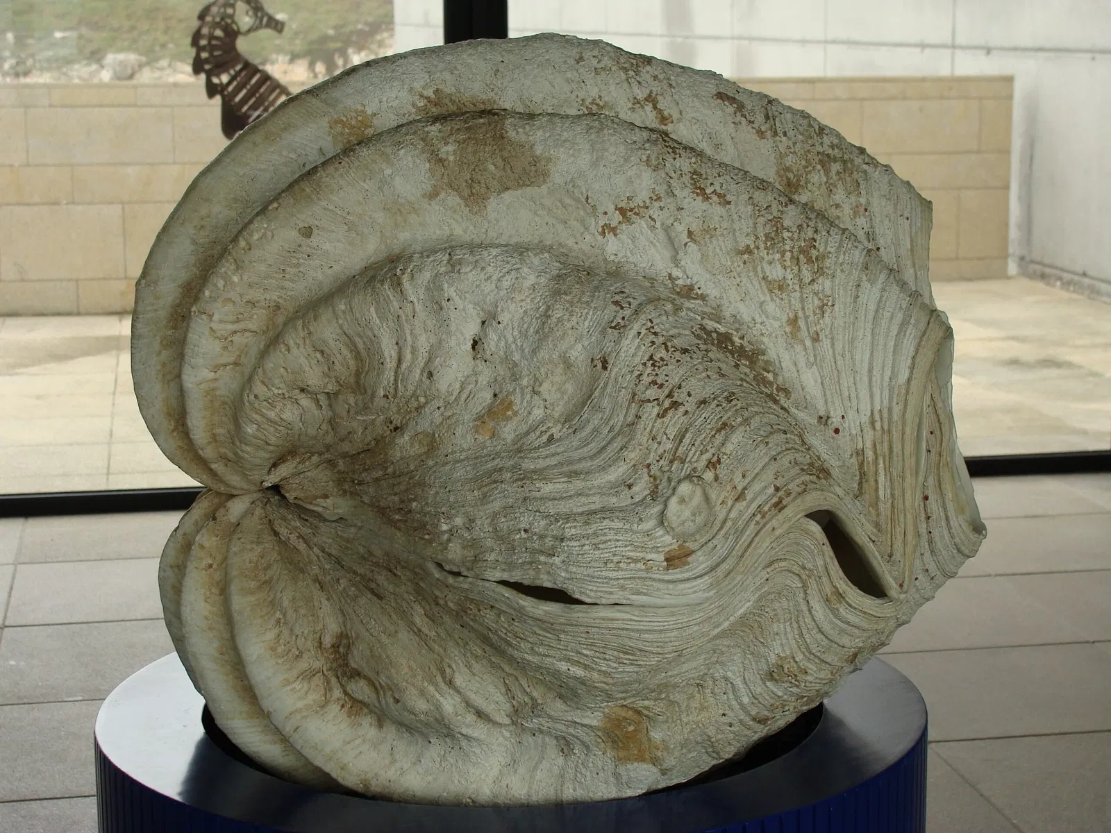 Aquarium Finisterrae