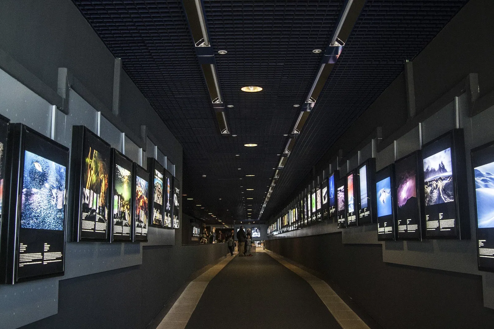 Aquarium Finisterrae