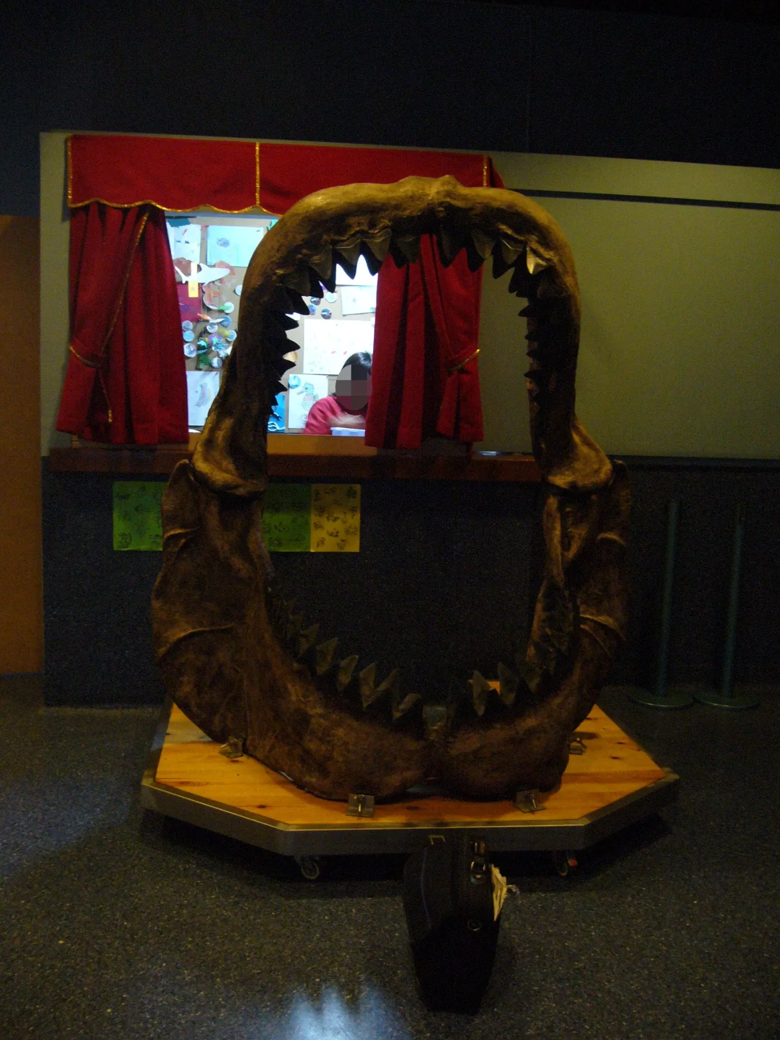 Aquarium Finisterrae