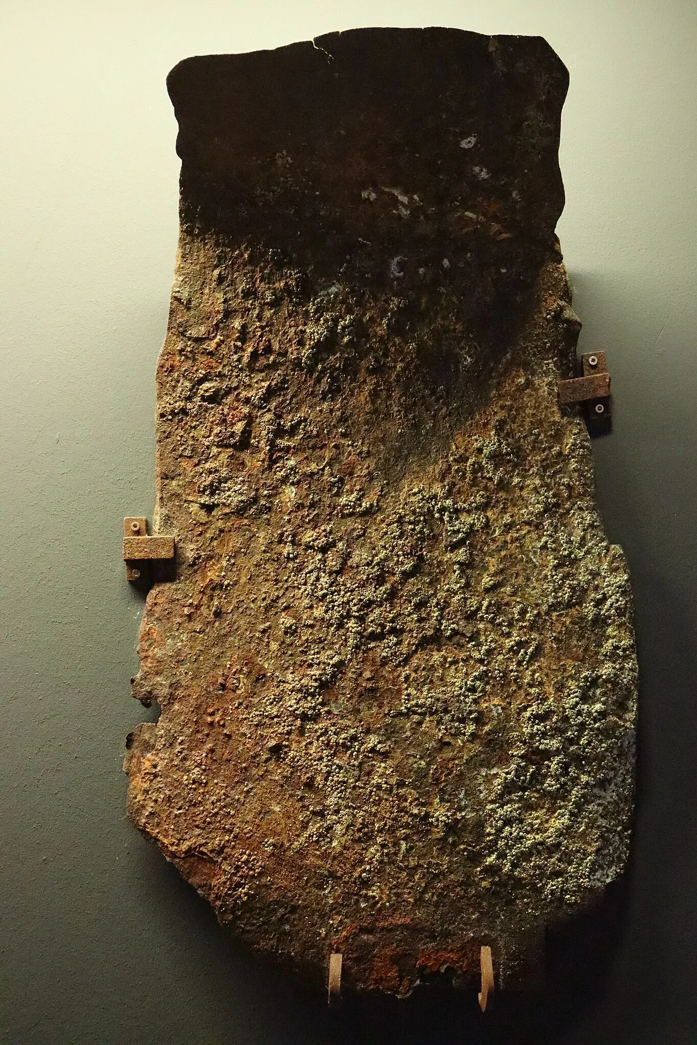 Aquarium Finisterrae