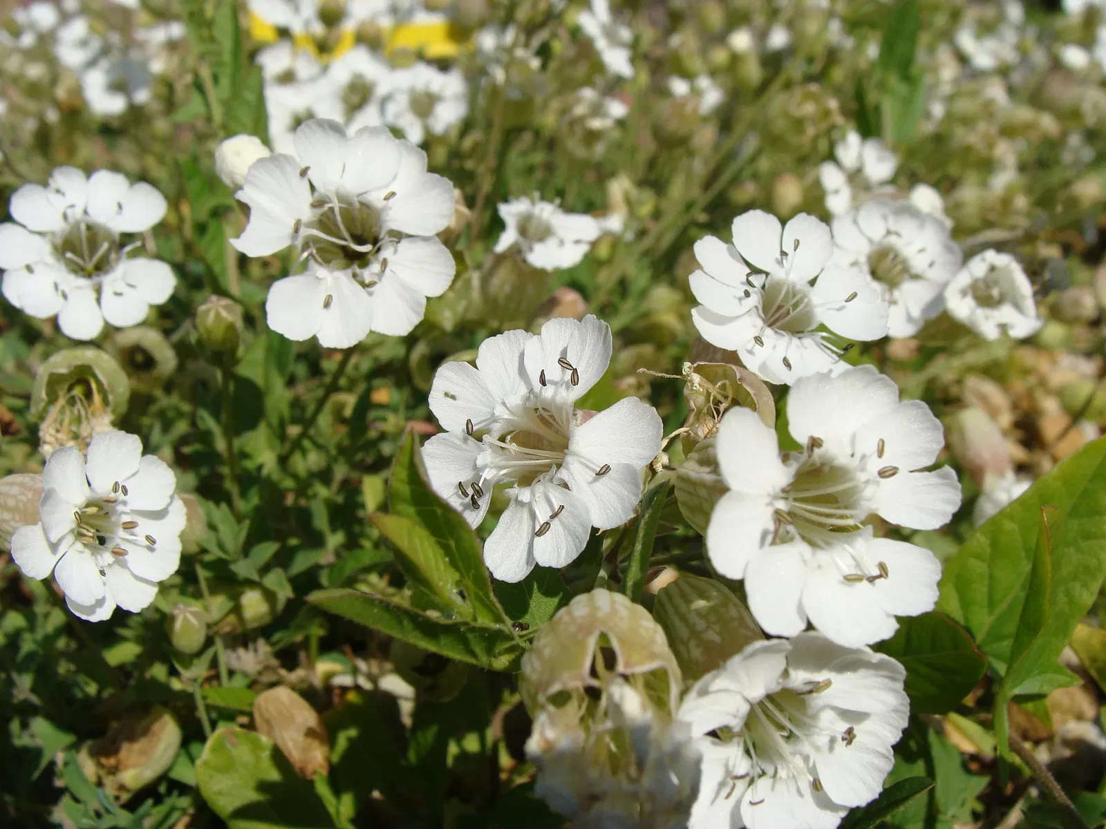 Aquarium Finisterrae