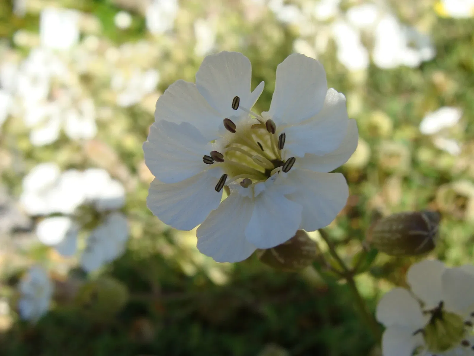 Aquarium Finisterrae
