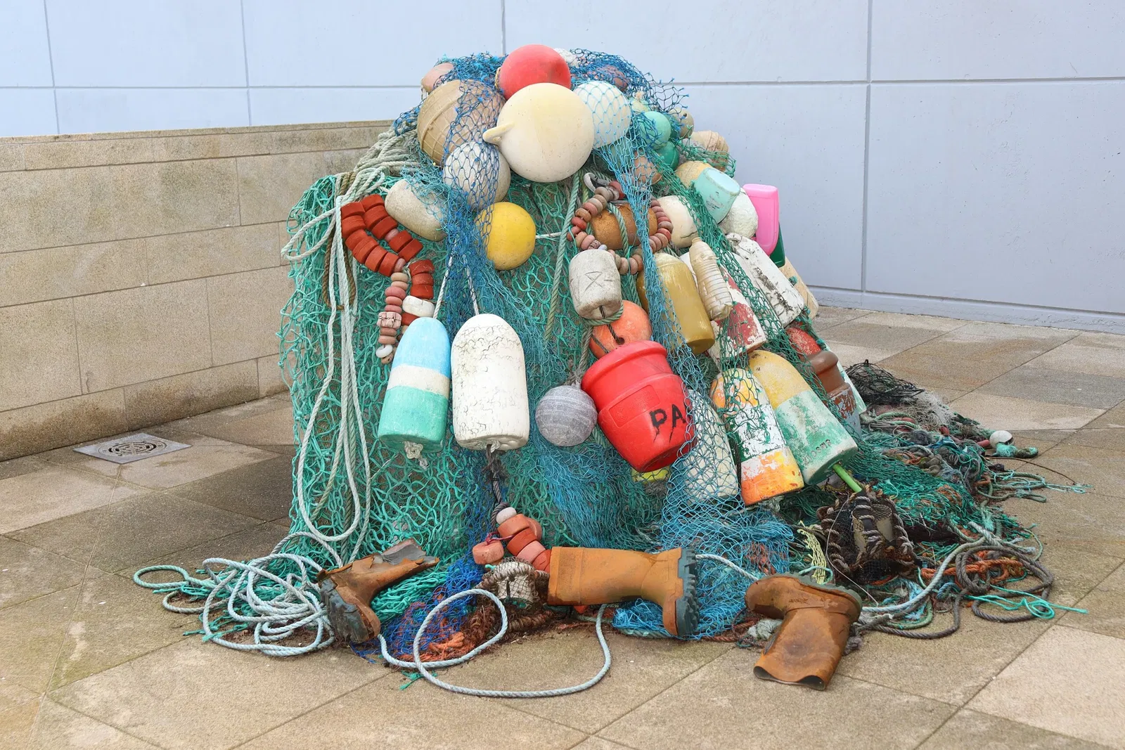 Aquarium Finisterrae