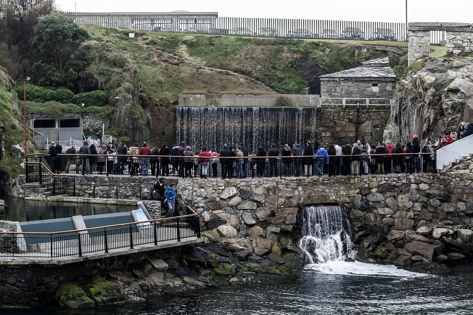 Aquarium Finisterrae