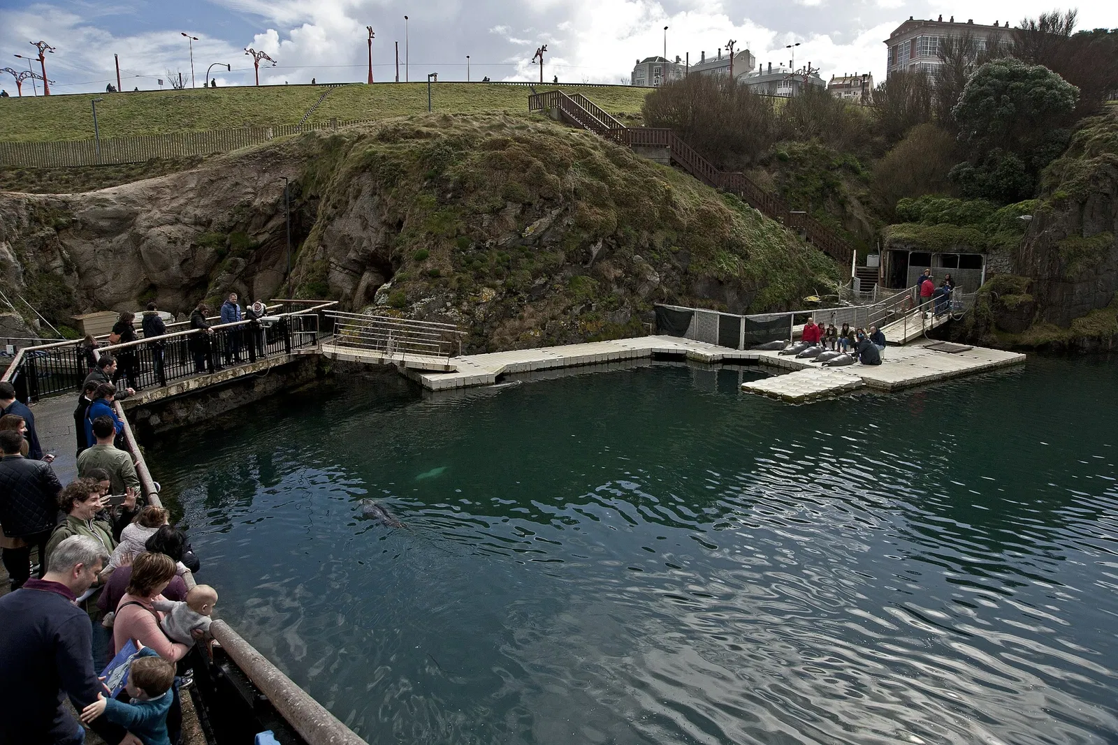 Aquarium Finisterrae