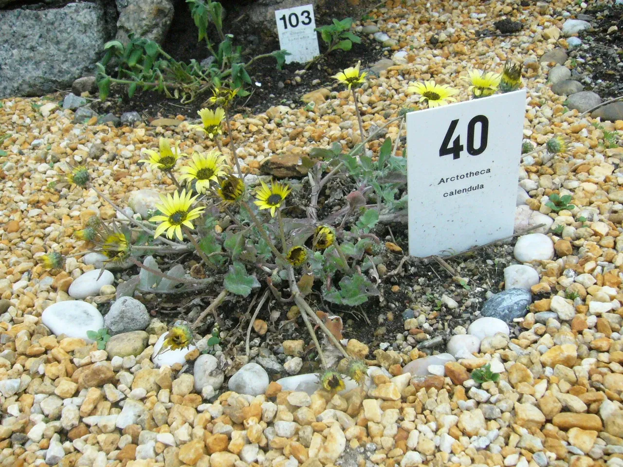 Aquarium Finisterrae