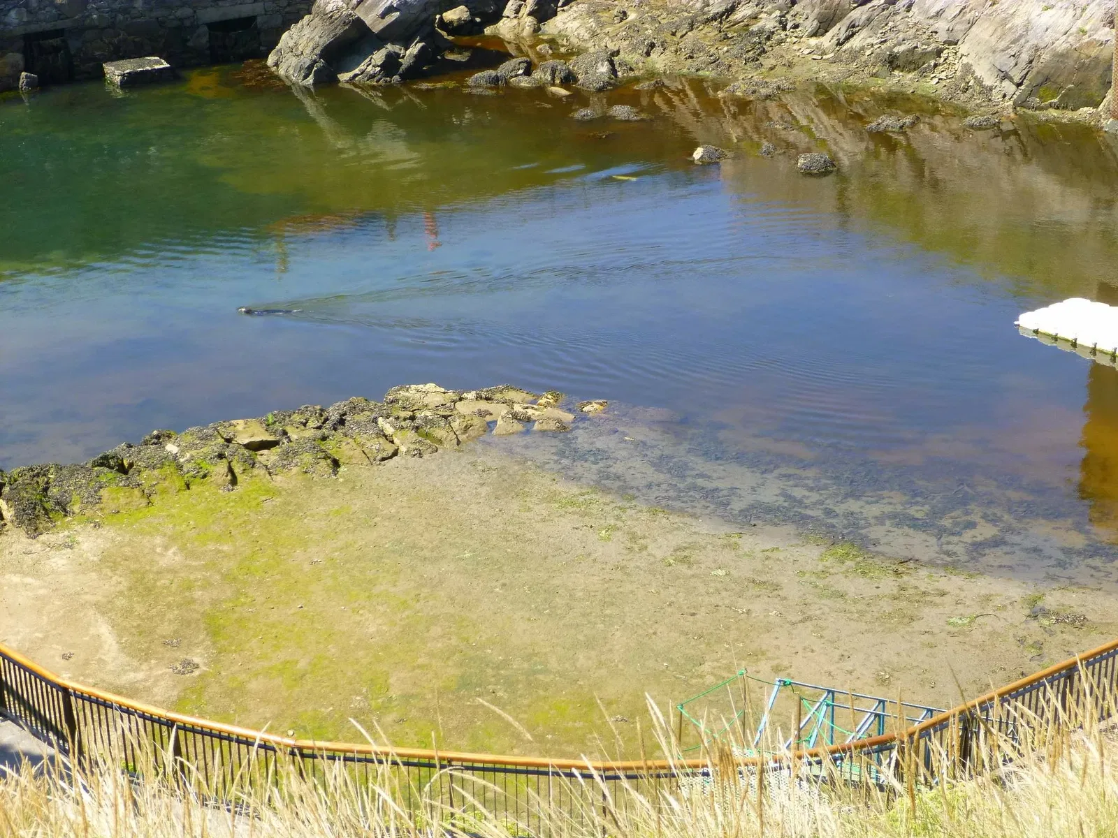 Aquarium Finisterrae