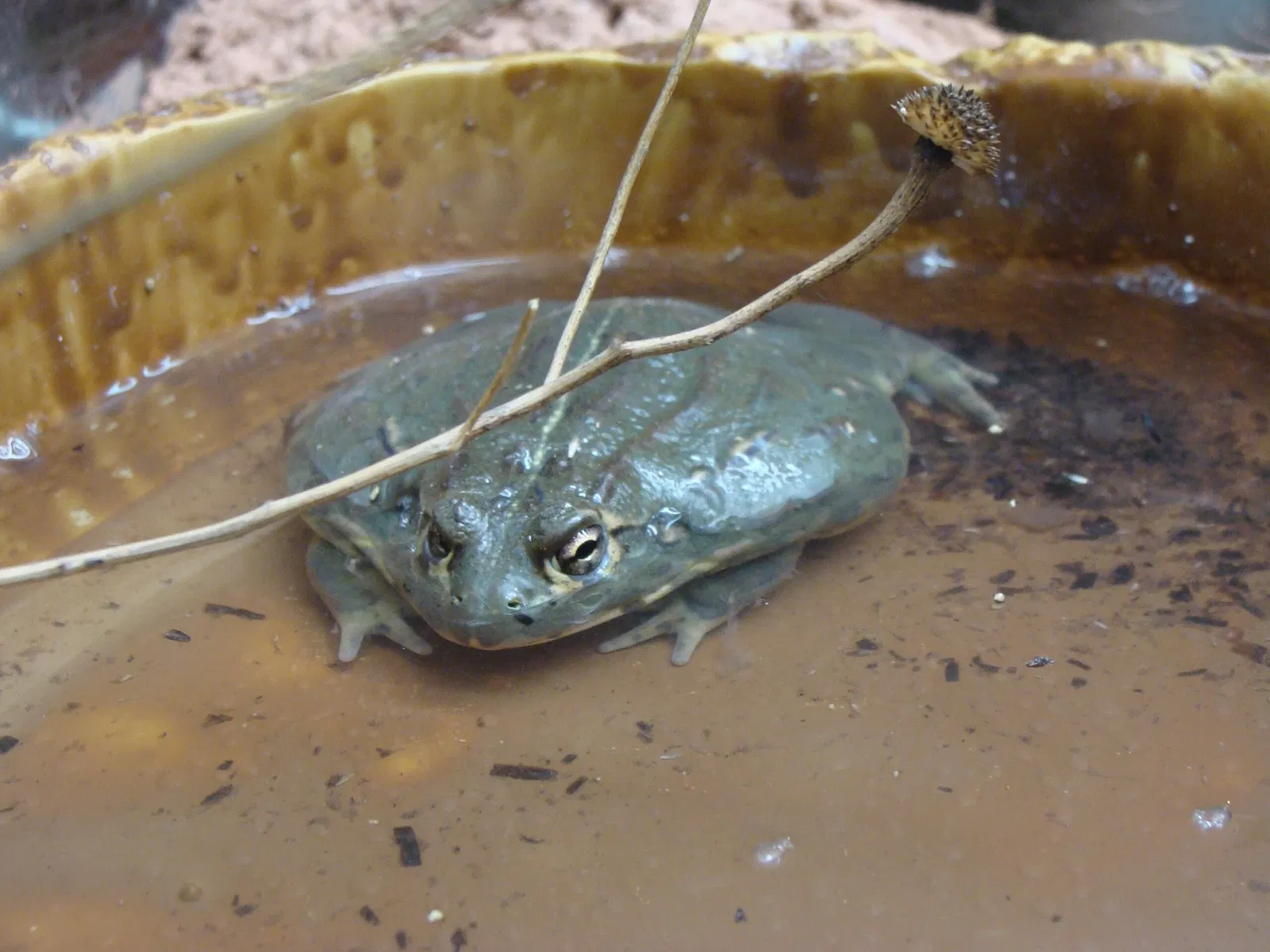 Casa de las Ciencias