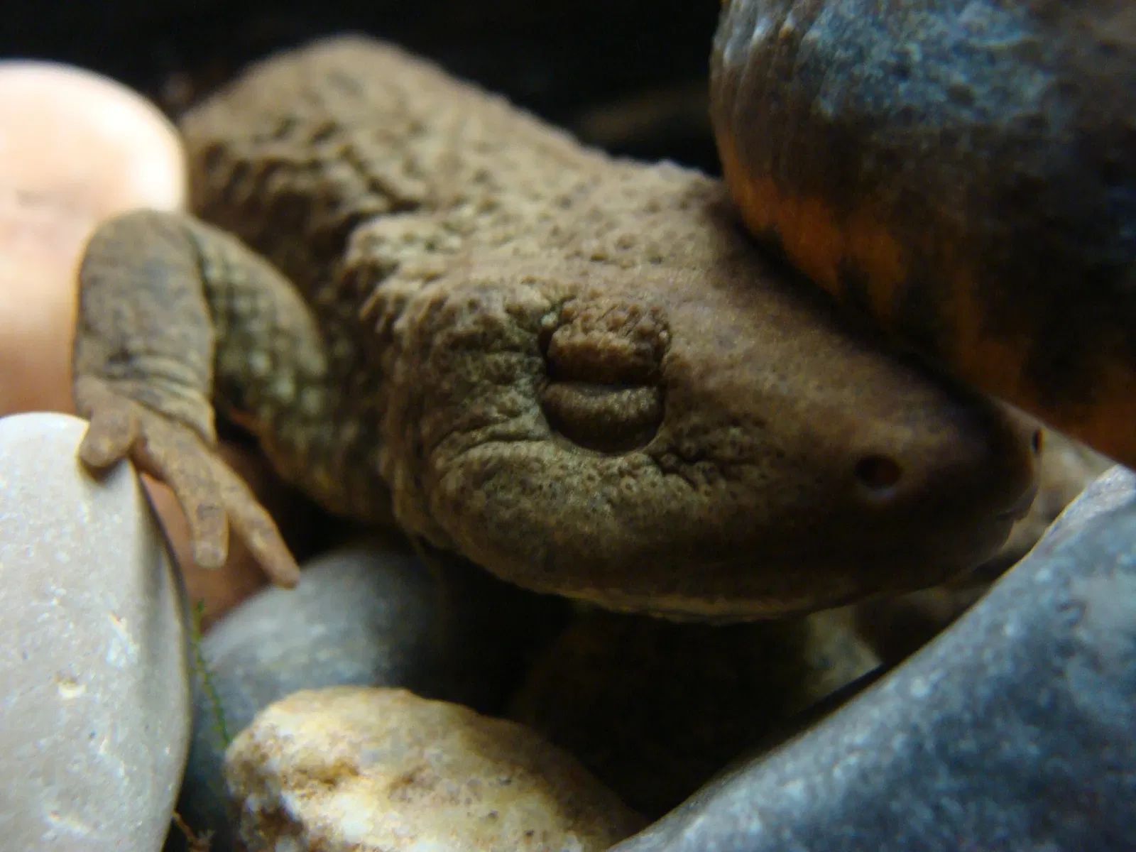 Casa de las Ciencias