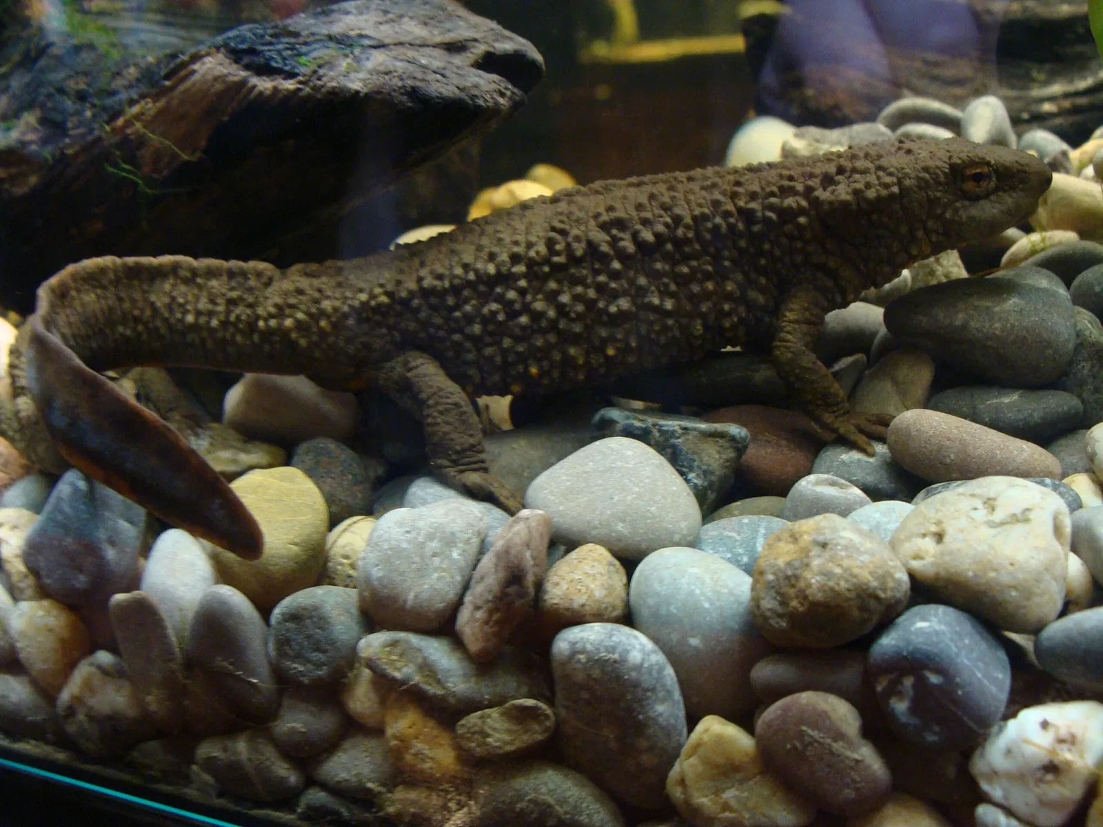 Casa de las Ciencias