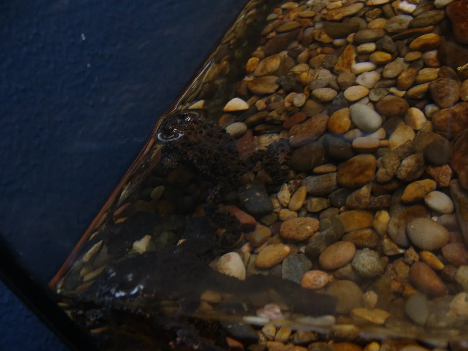 Casa de las Ciencias