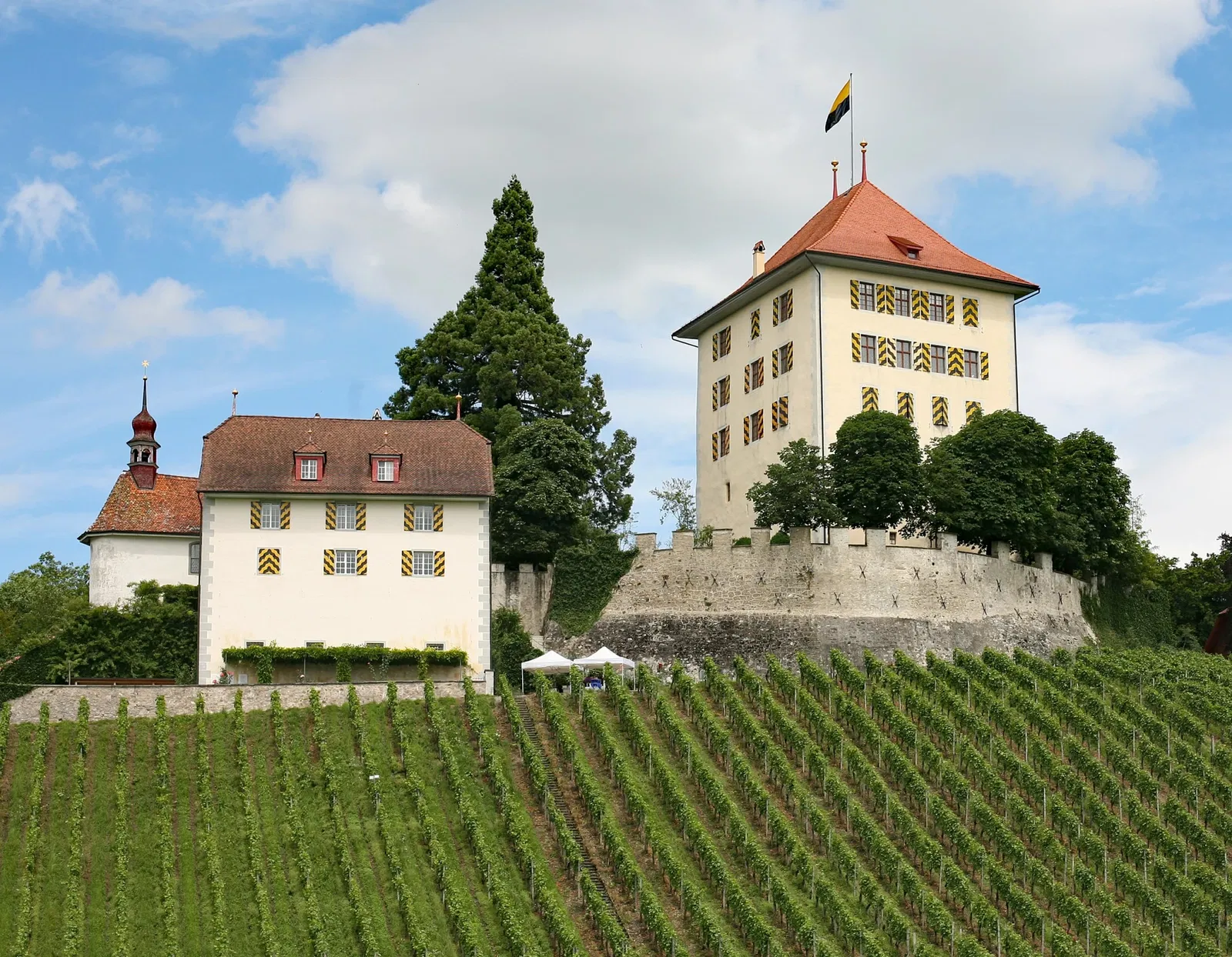 Schloss Heidegg