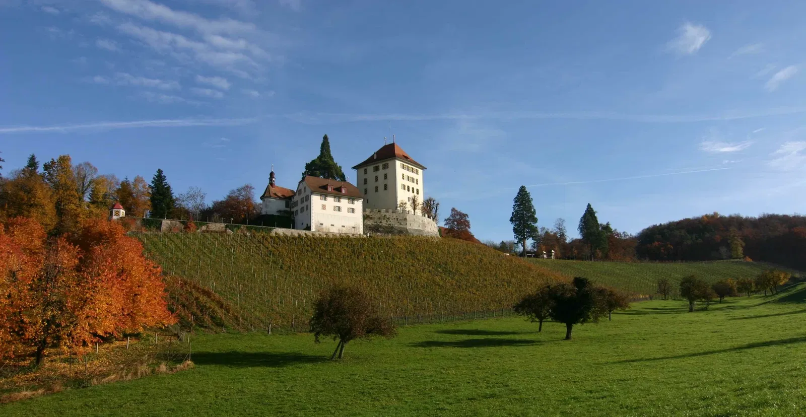 Schloss Heidegg