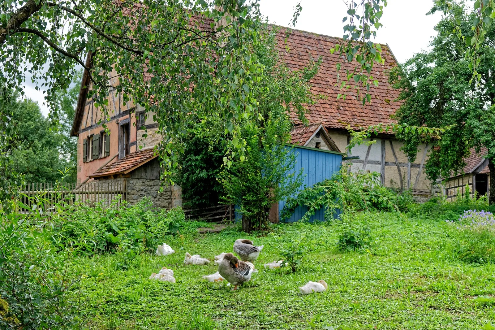 Hohenloher Freilandmuseum