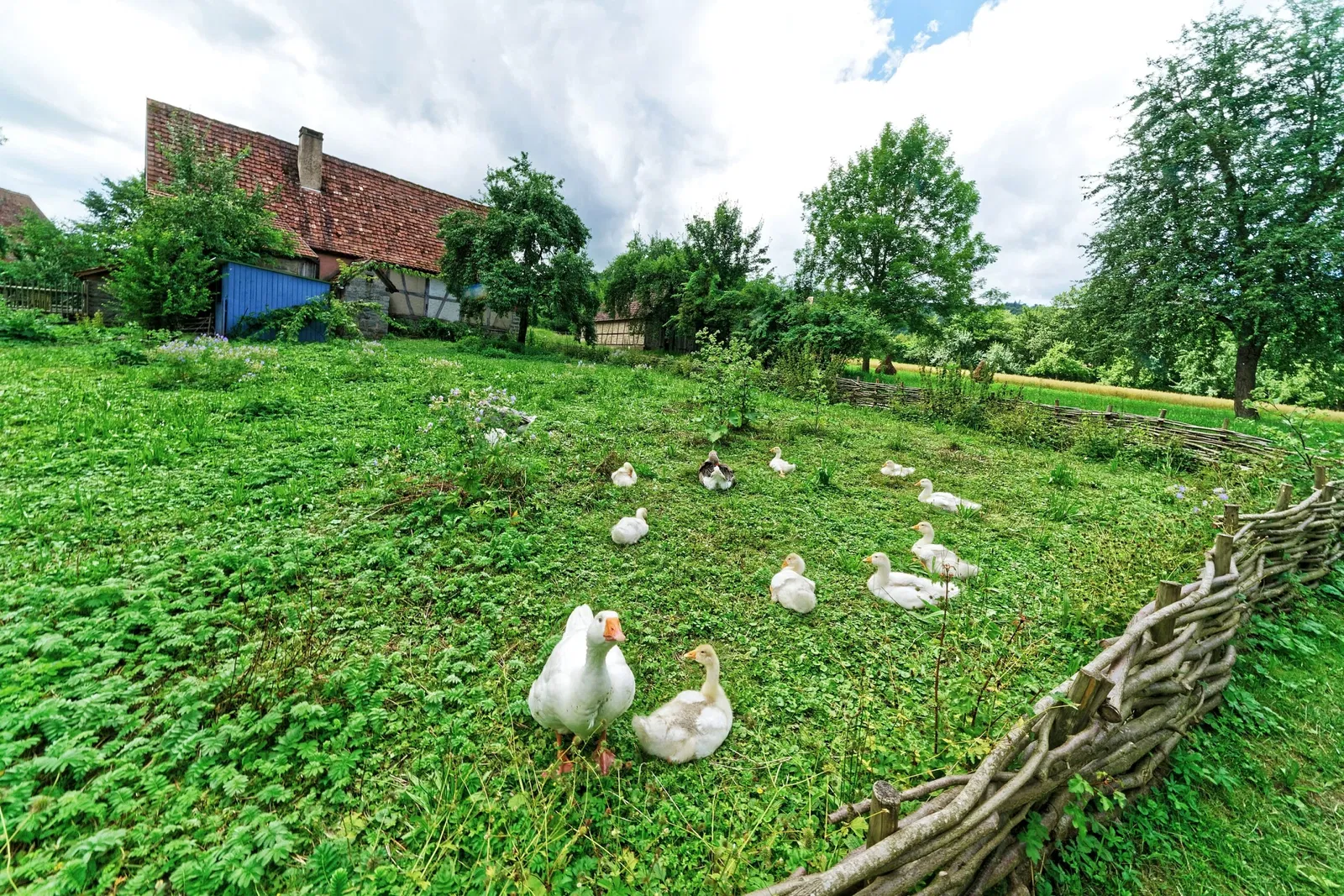 Hohenloher Freilandmuseum