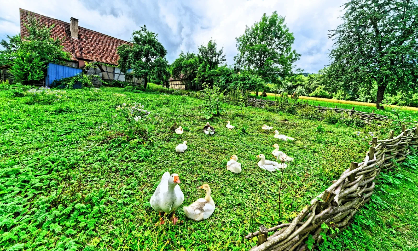 Hohenloher Freilandmuseum