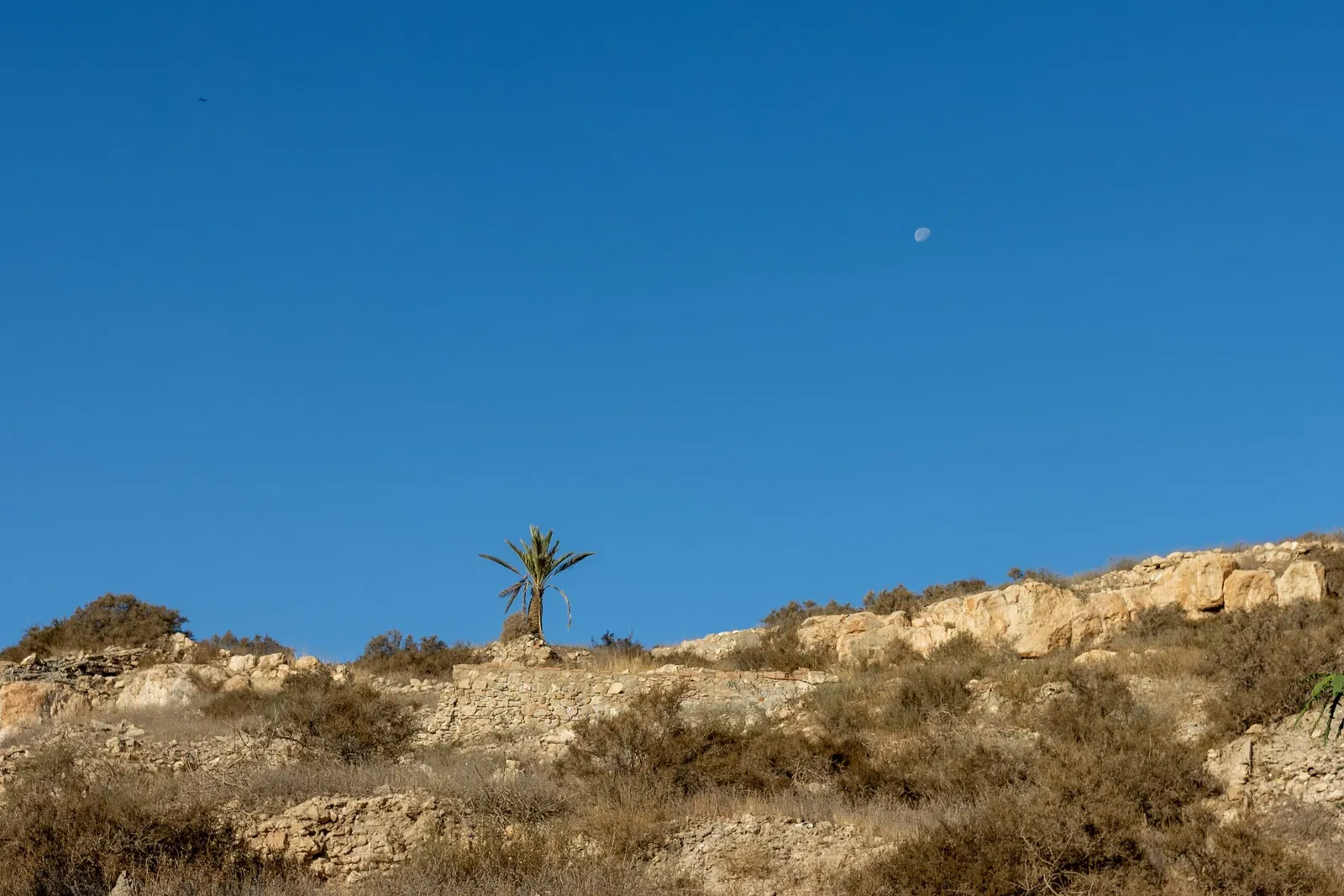 Conjunto Monumental de la Alcazaba de Almería
