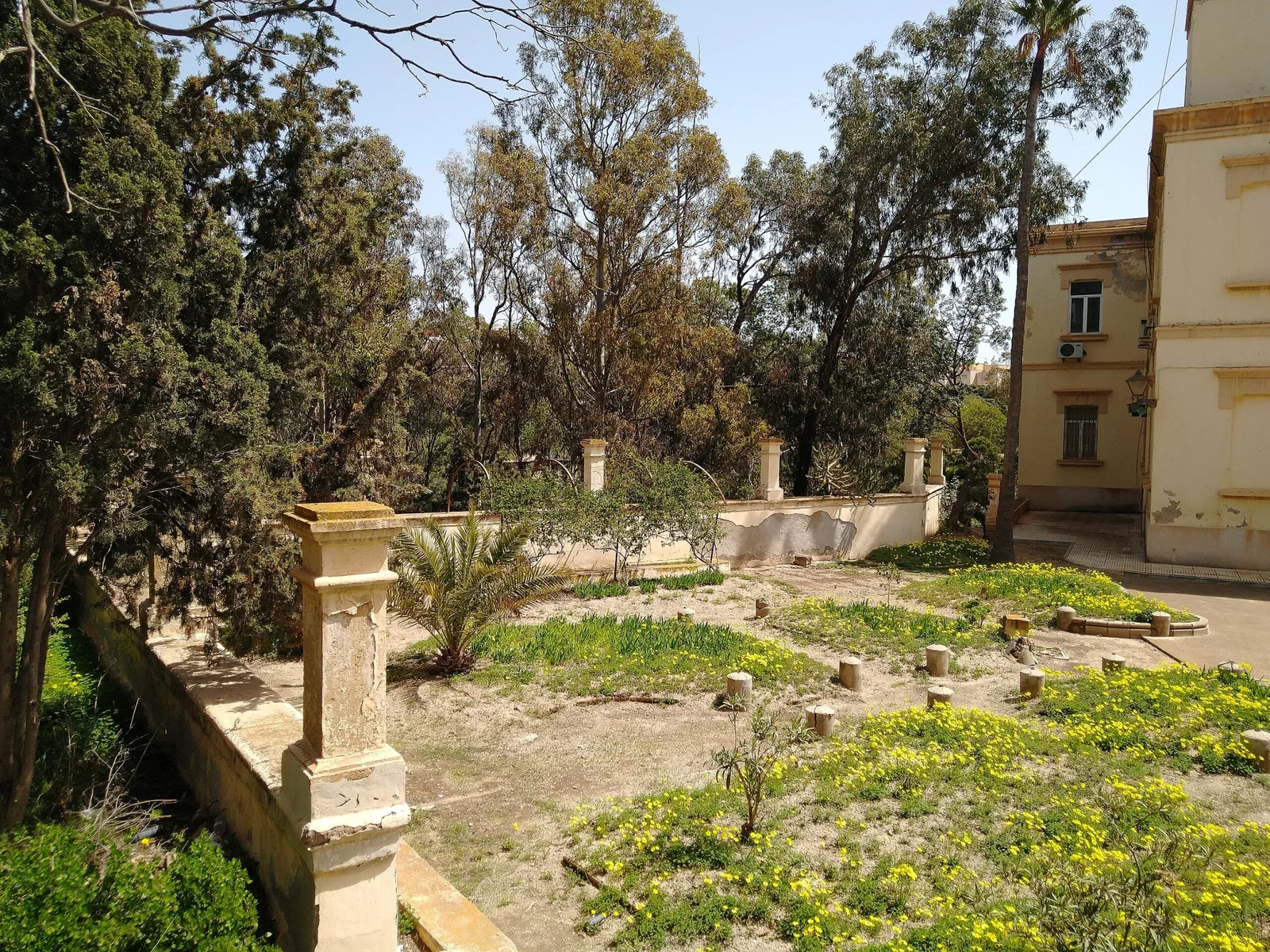 Museo de Sismología
