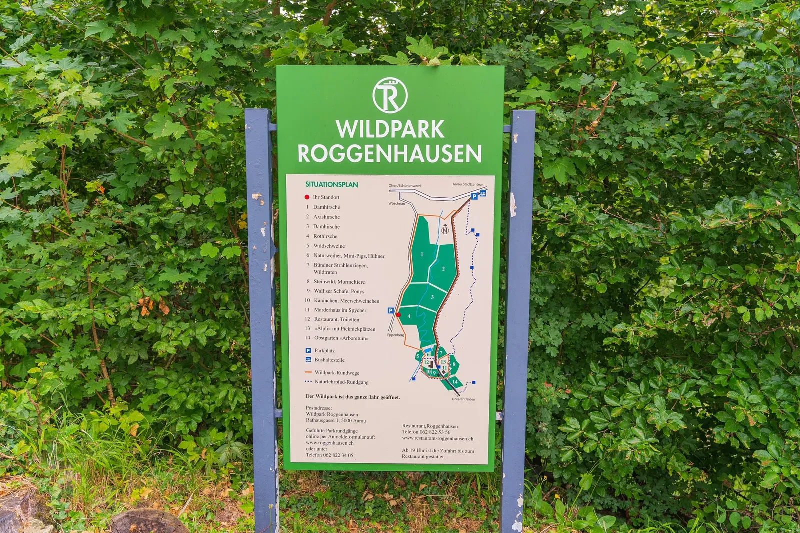 Wildpark Roggenhausen Aarau