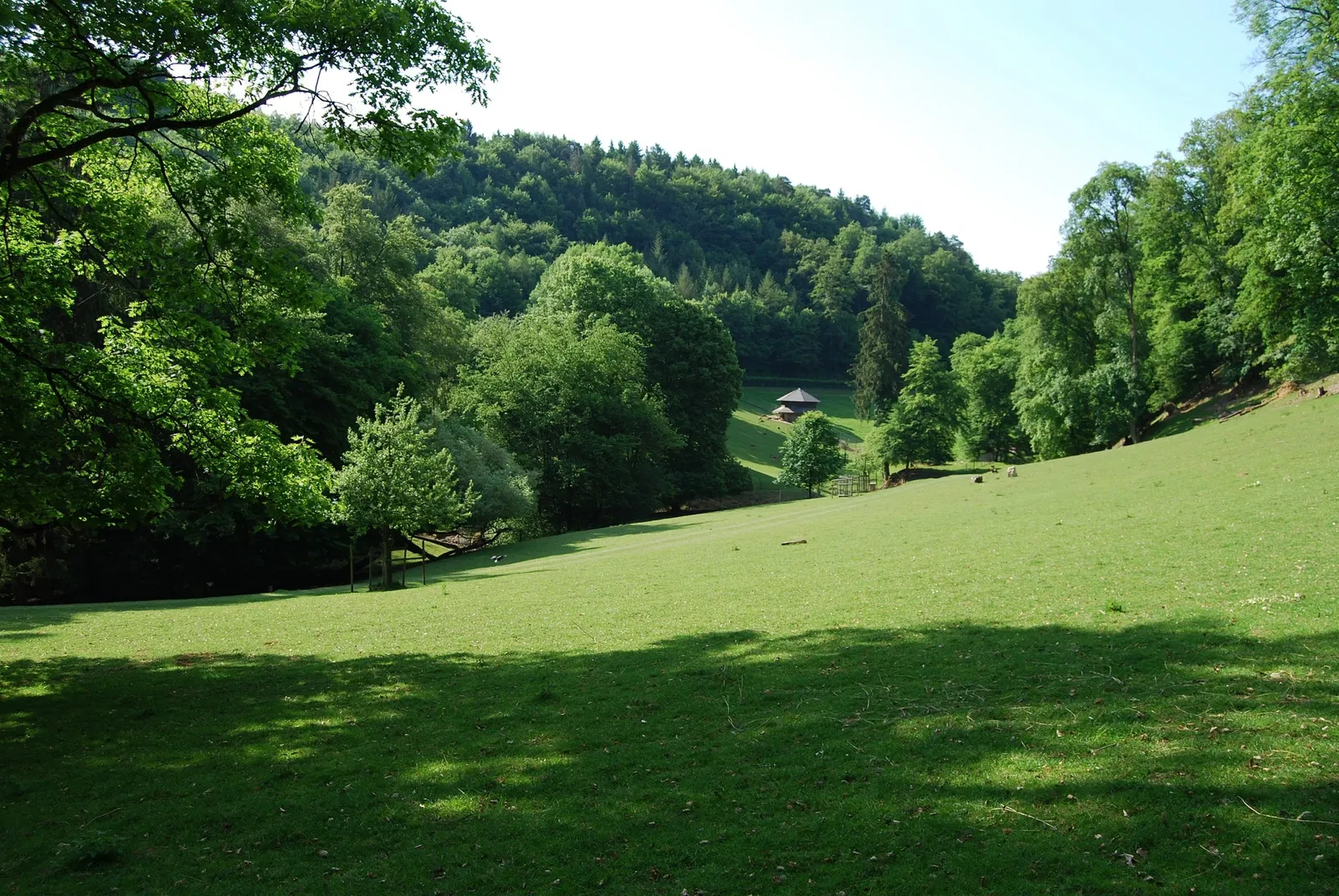 Wildpark Roggenhausen Aarau
