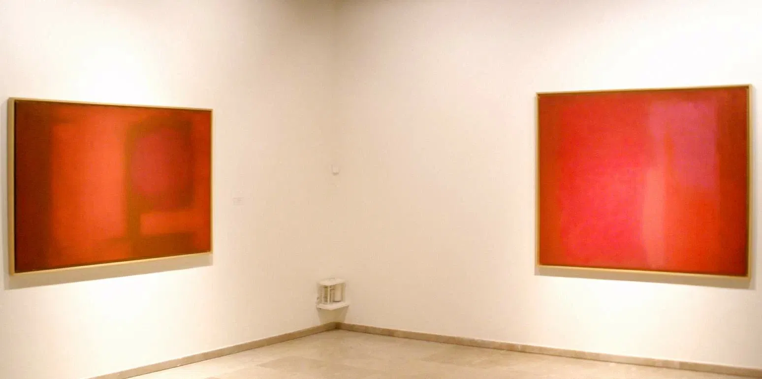 Museo de Arte Contemporáneo Esteban Vicente