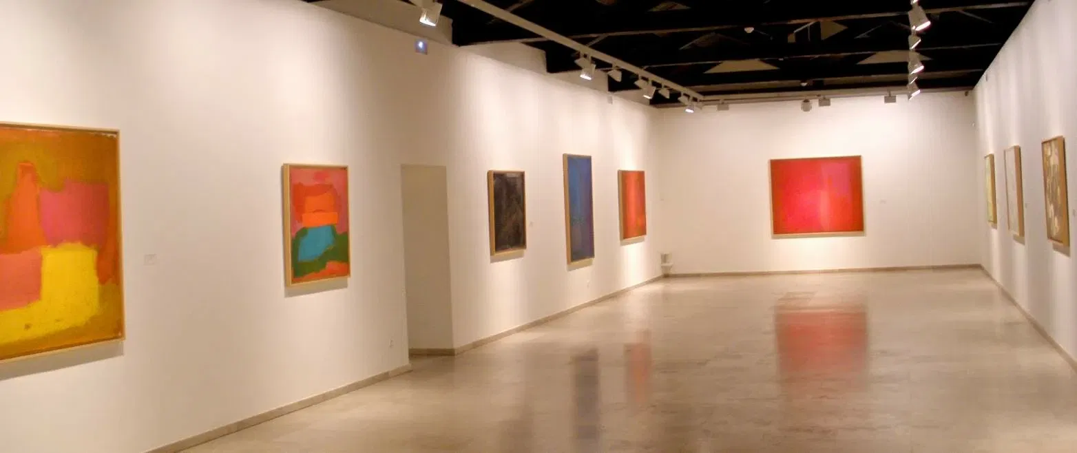 Museum of Contemporary Art Esteban Vicente